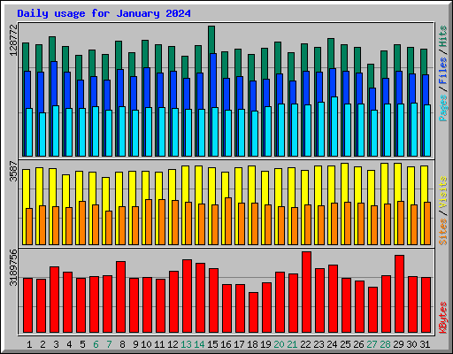 Daily usage for January 2024