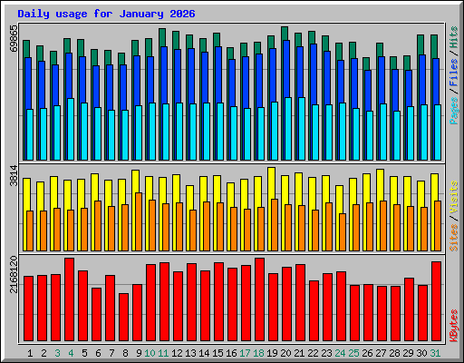 Daily usage for January 2026