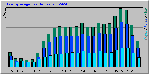 Hourly usage for November 2020