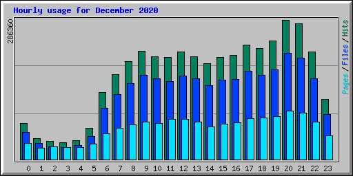 Hourly usage for December 2020