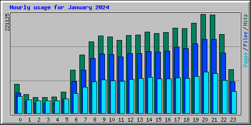 Hourly usage for January 2024