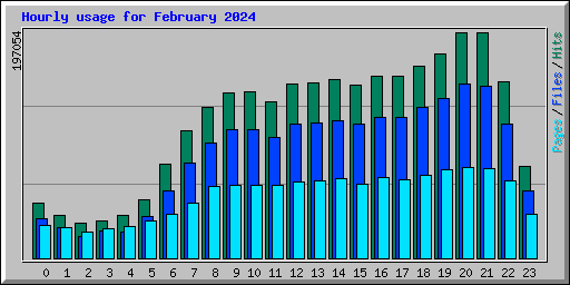 Hourly usage for February 2024