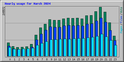 Hourly usage for March 2024