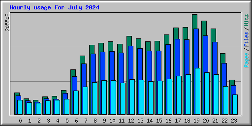 Hourly usage for July 2024