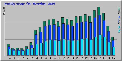 Hourly usage for November 2024