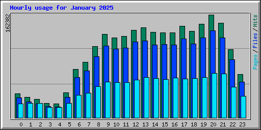 Hourly usage for January 2025