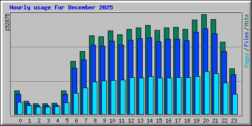 Hourly usage for December 2025