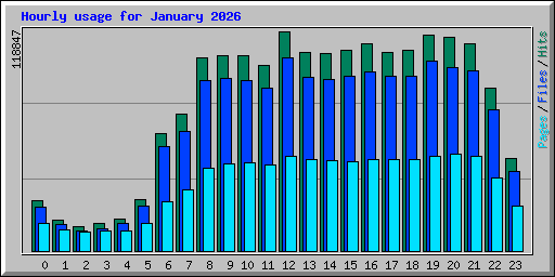 Hourly usage for January 2026