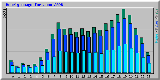 Hourly usage for June 2026